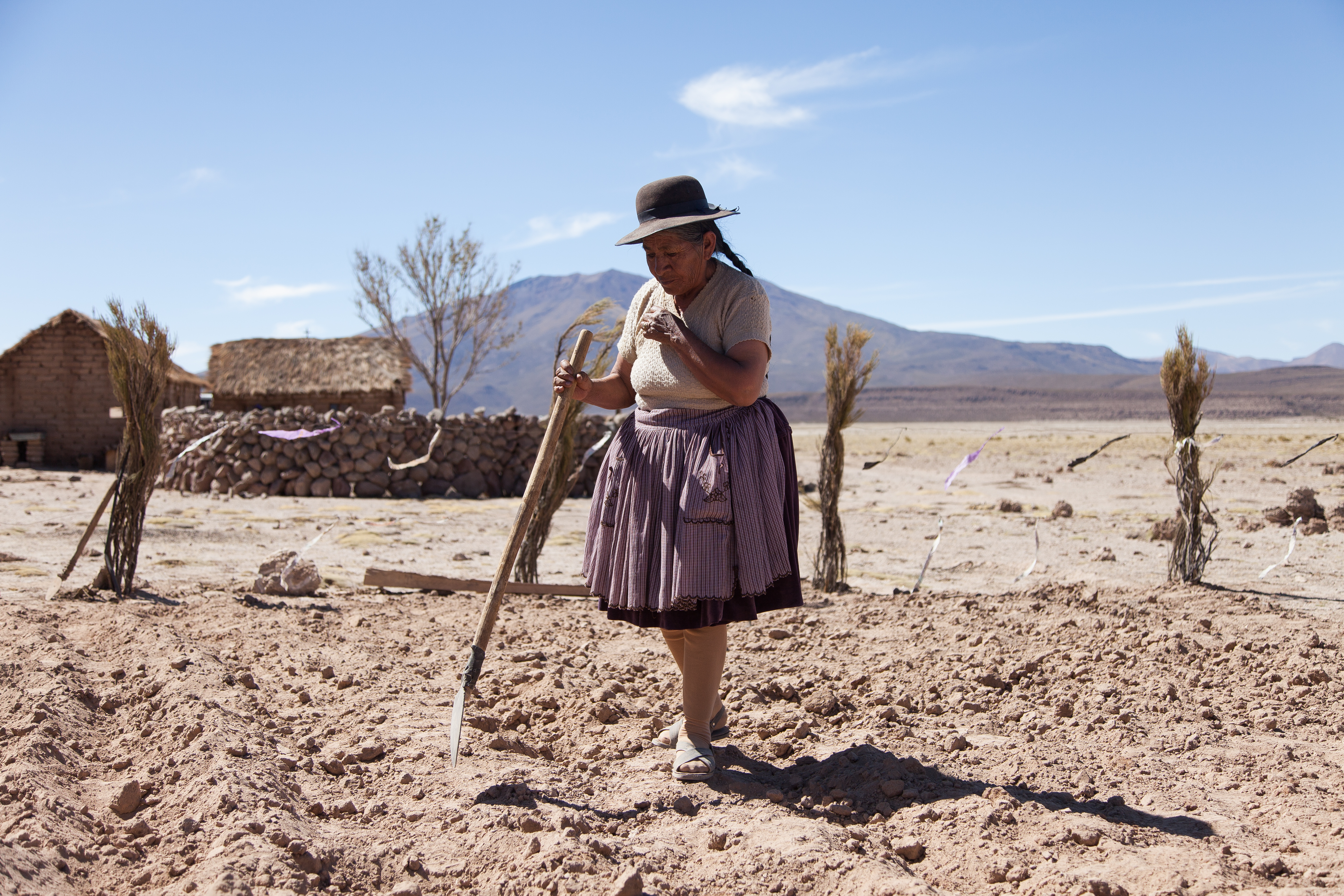 "Utama" stands for "our home" in the Quechua language / Photo: Kino Lorber, Cinema Tropical